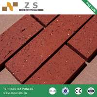 Terracotta floor tile